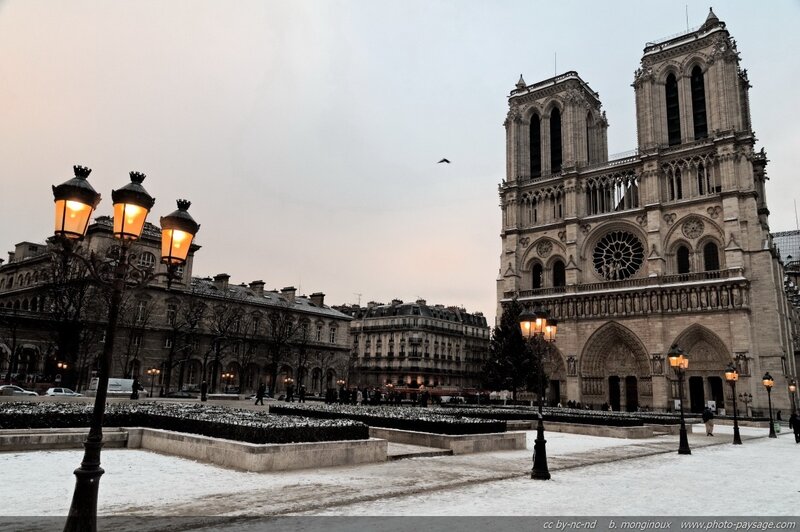Notre-Dame Cathedral — Gray, Cold