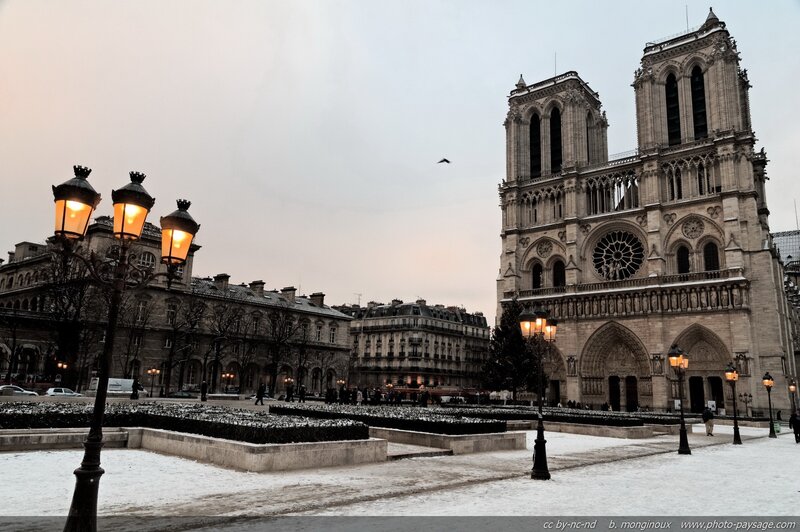 Notre-Dame Cathedral — Gray, Cold, Winter