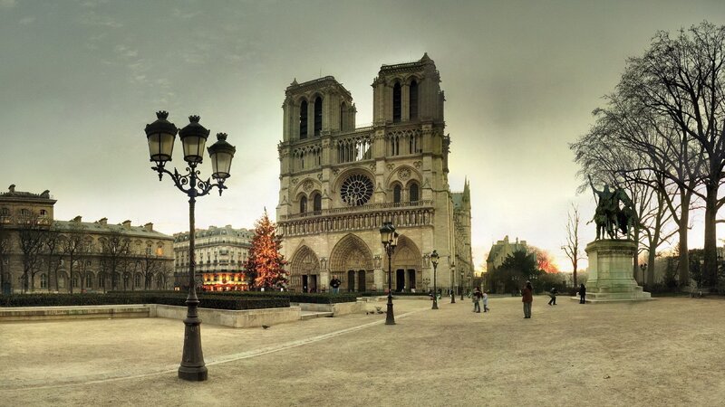 Notre-Dame Cathedral — Gray, Dramatic, Winter, Photograph, Christmas Tree, Statue