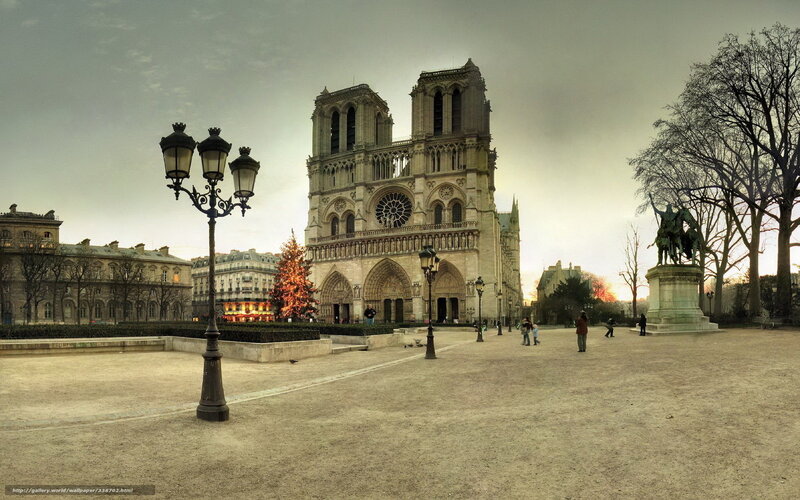 Notre-Dame Cathedral — Gray, Dramatic, Winter, Photograph