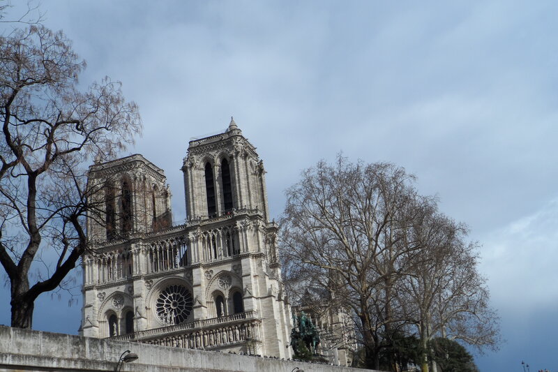 Notre-Dame Cathedral — Gray, Overcast, Winter