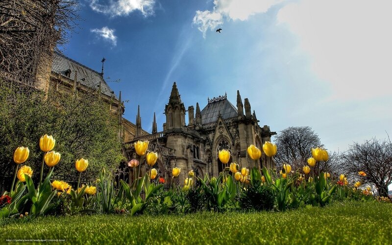Notre-Dame Cathedral in spring