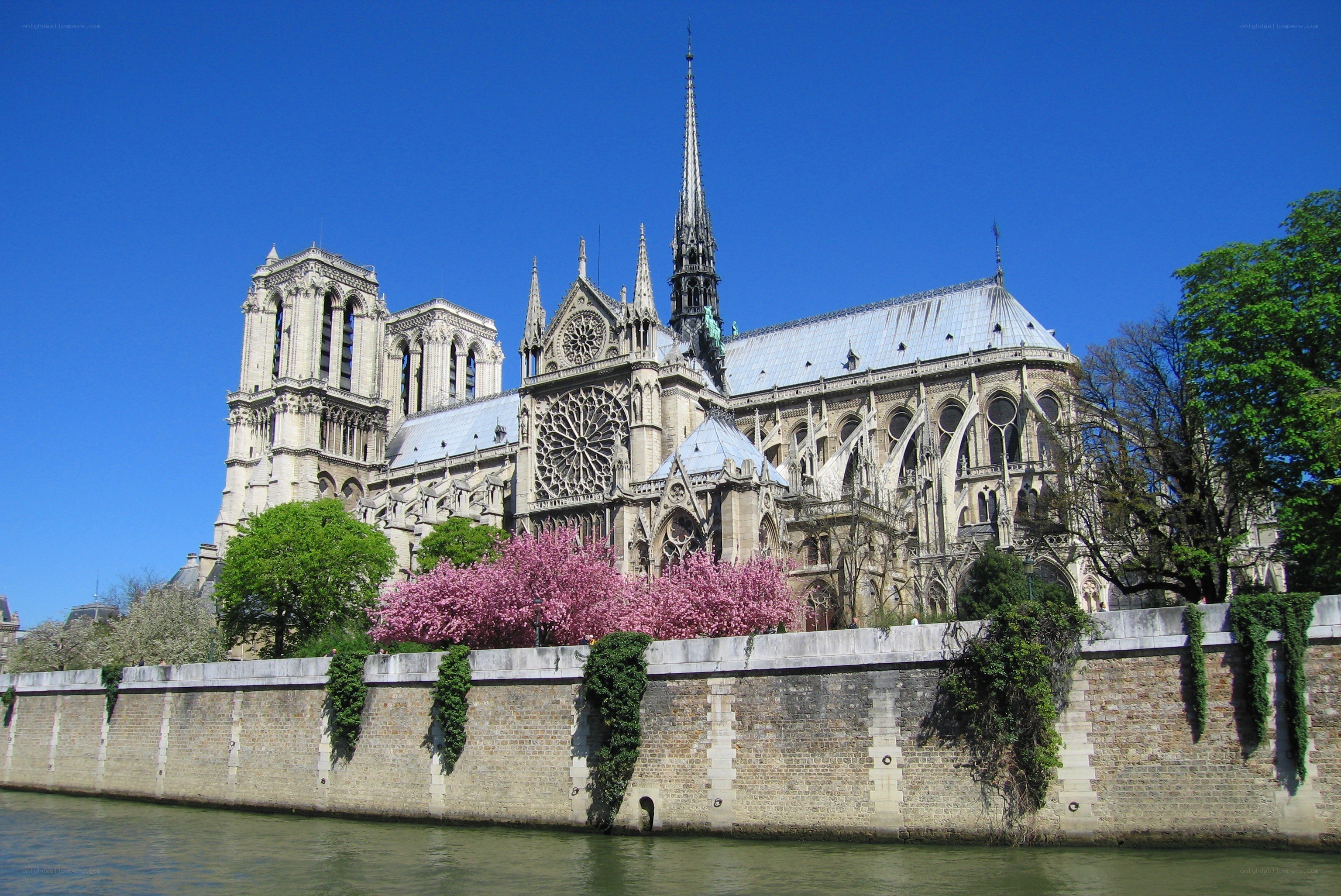 Notre-Dame Cathedral in spring