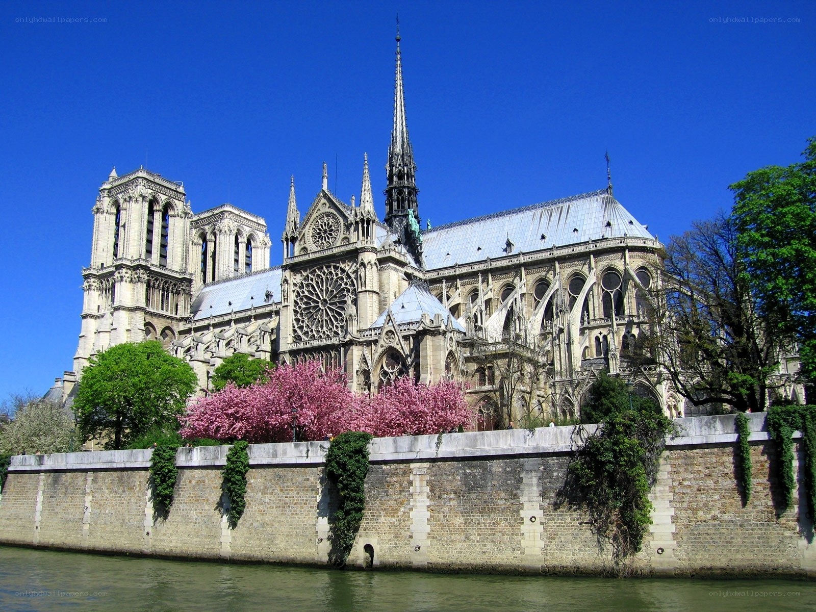 Notre-Dame Cathedral in spring