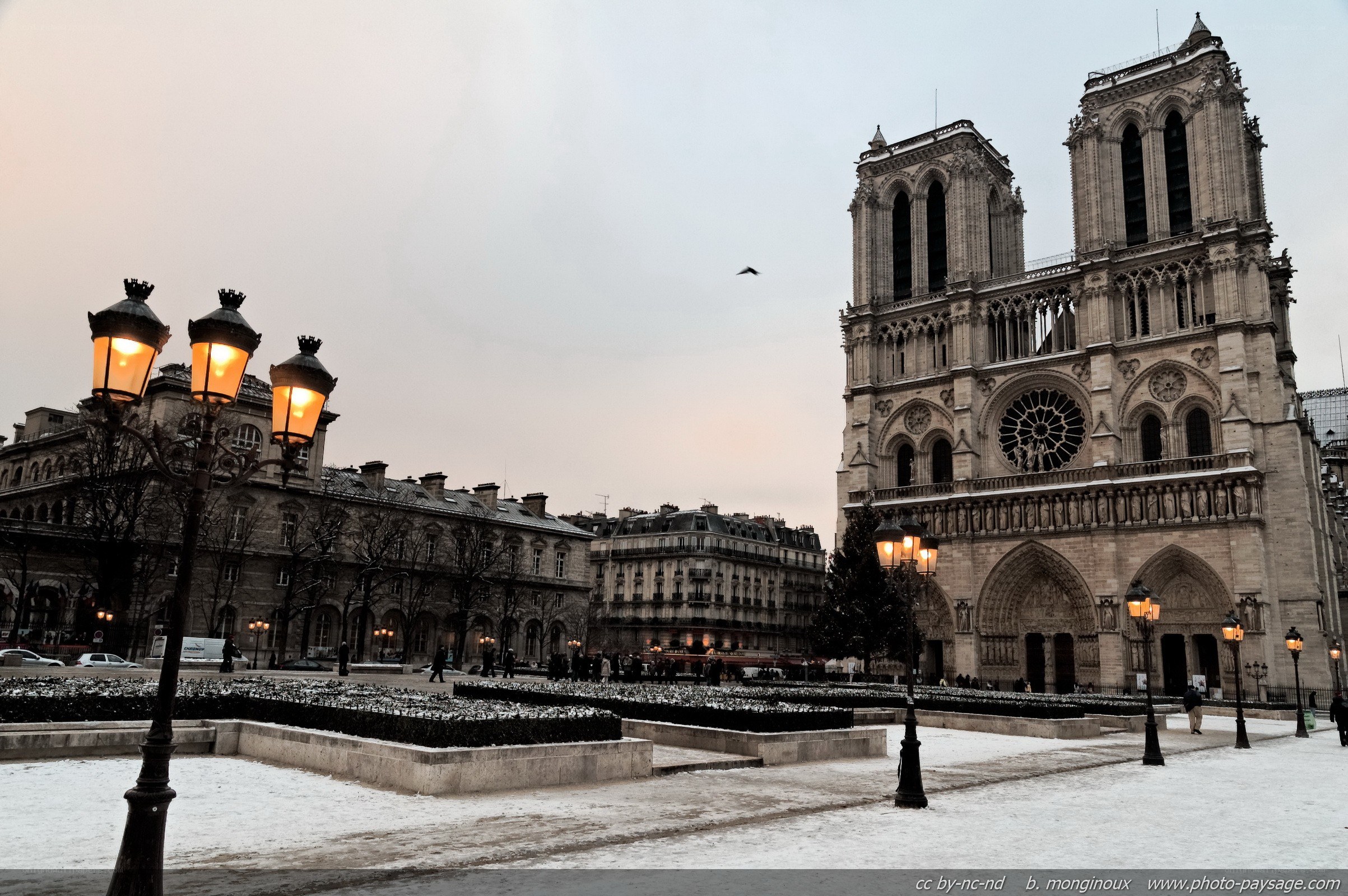 Notre-Dame Cathedral in winter