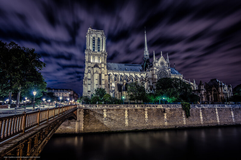 Notre-Dame Cathedral — Purple, Dramatic, Night, Photograph
