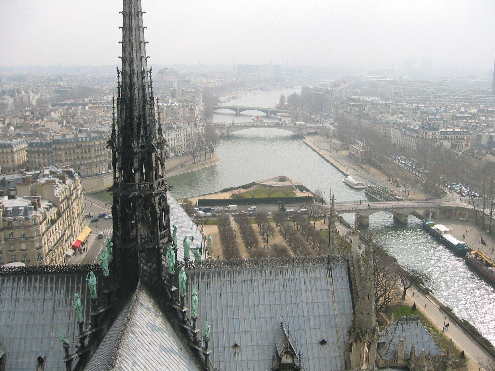 Notre-Dame cathedral view