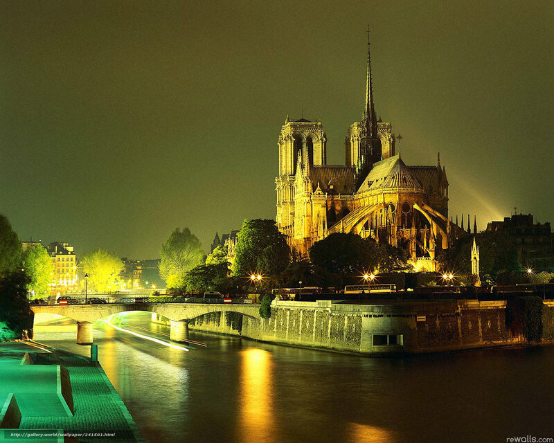 Notre-Dame Cathedral — Yellow, Dramatic, Night, Photograph, River