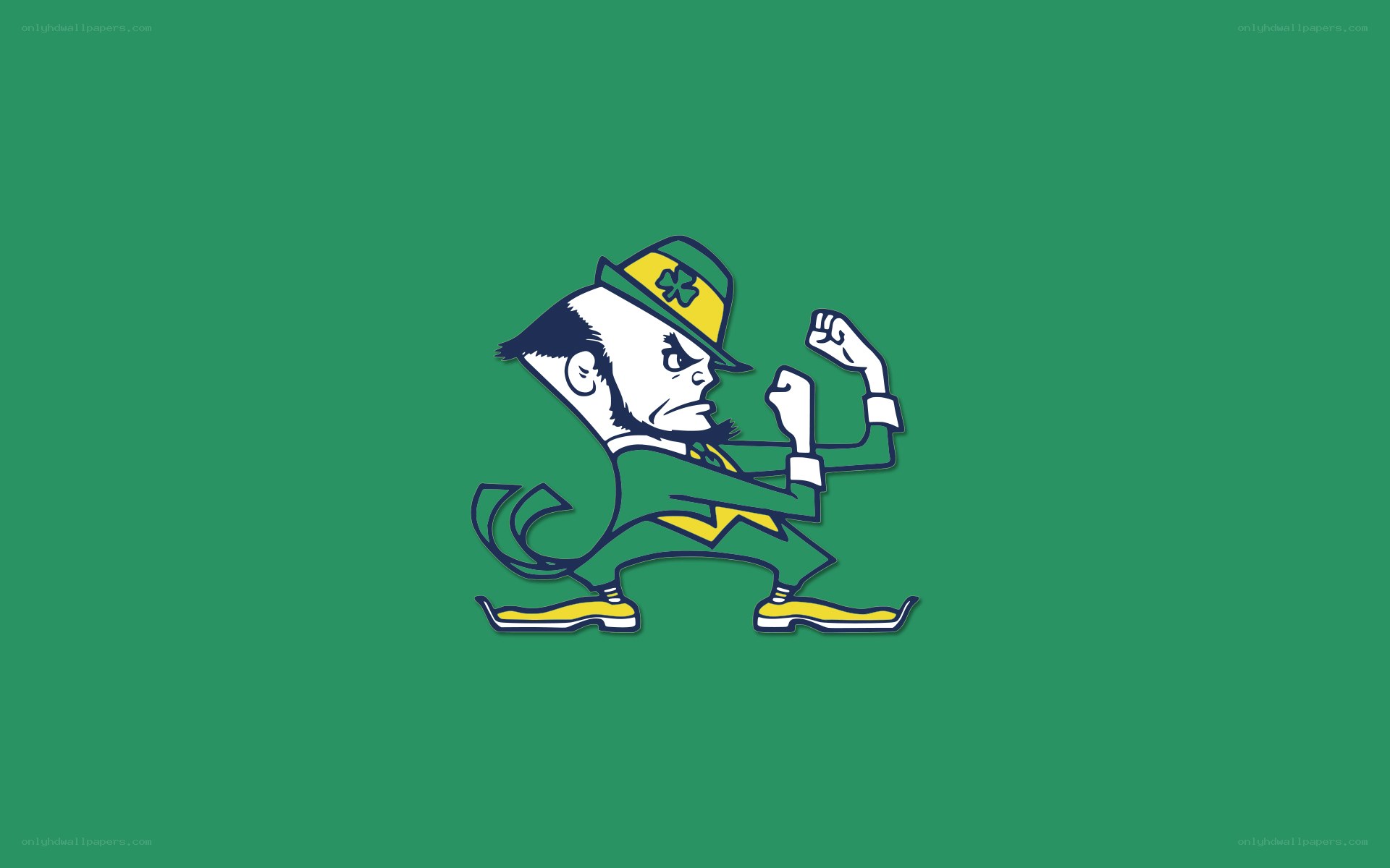 Notre Dame Leprechaun Mascot