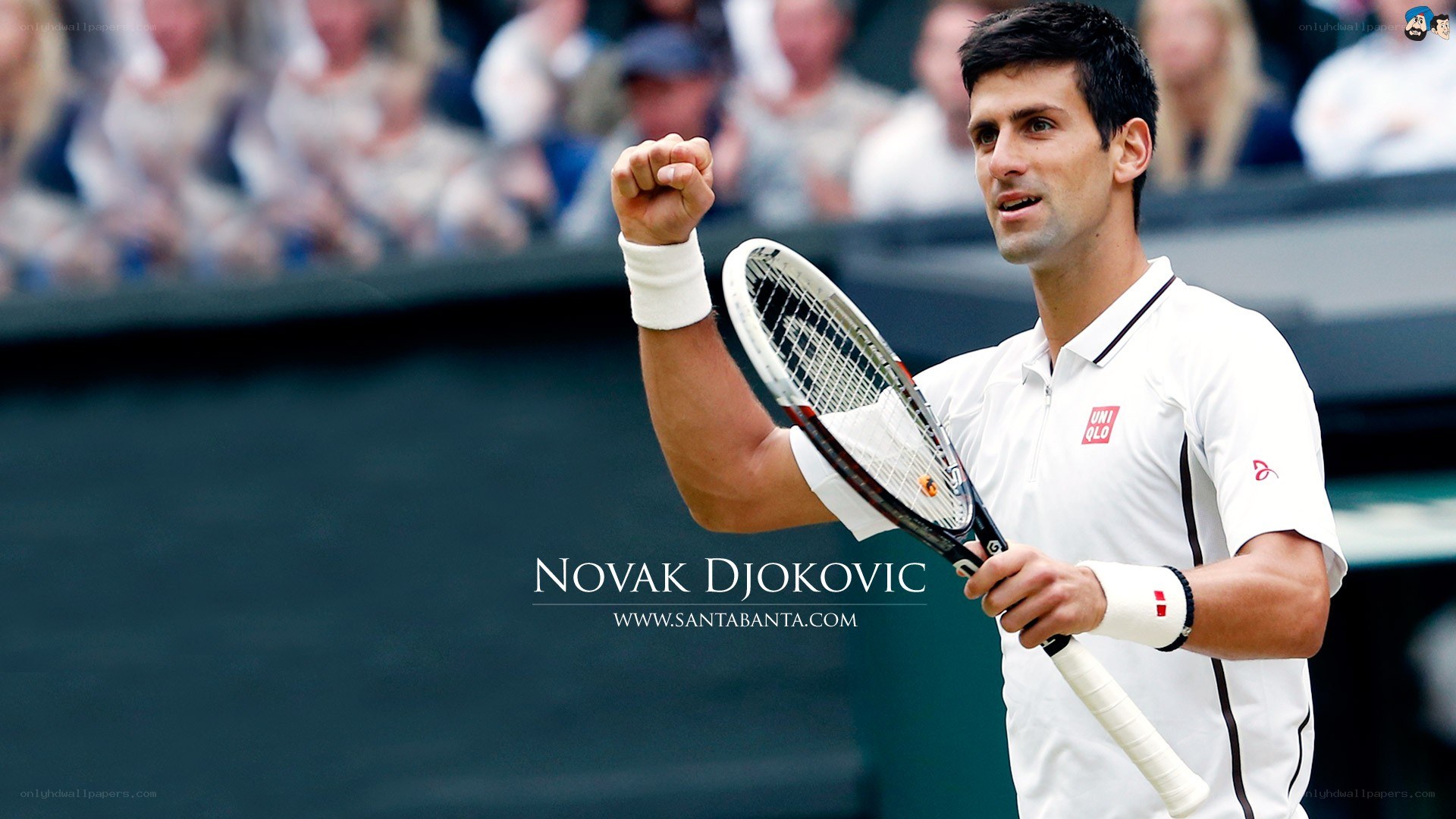 Novak Djokovic celebrating