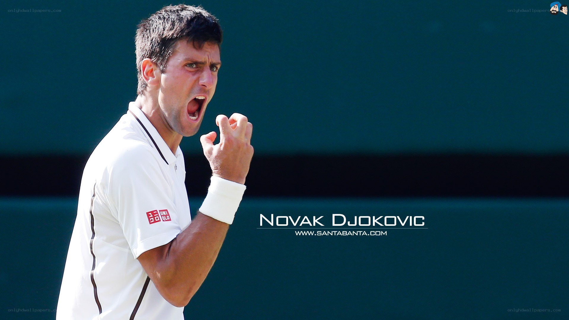 Novak Djokovic celebrating