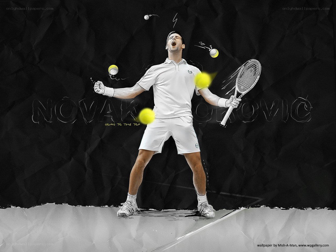 Novak Djokovic celebrating