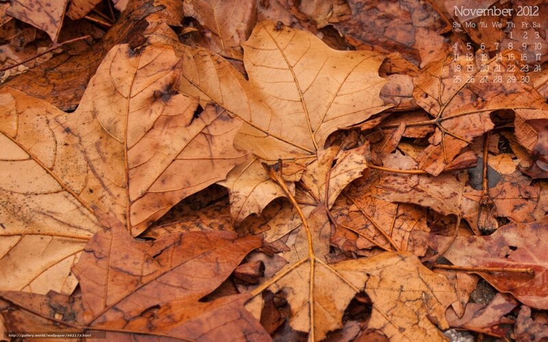 November 2012 calendar with autumn leaves