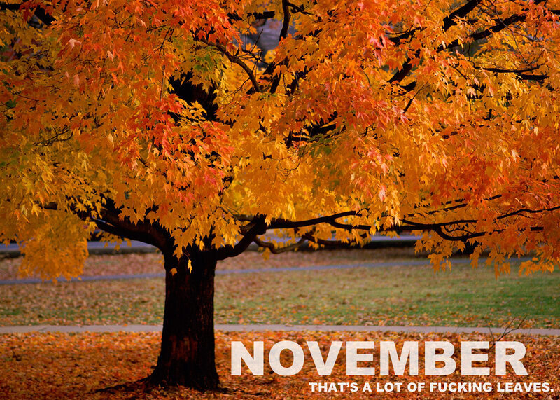 November leaves