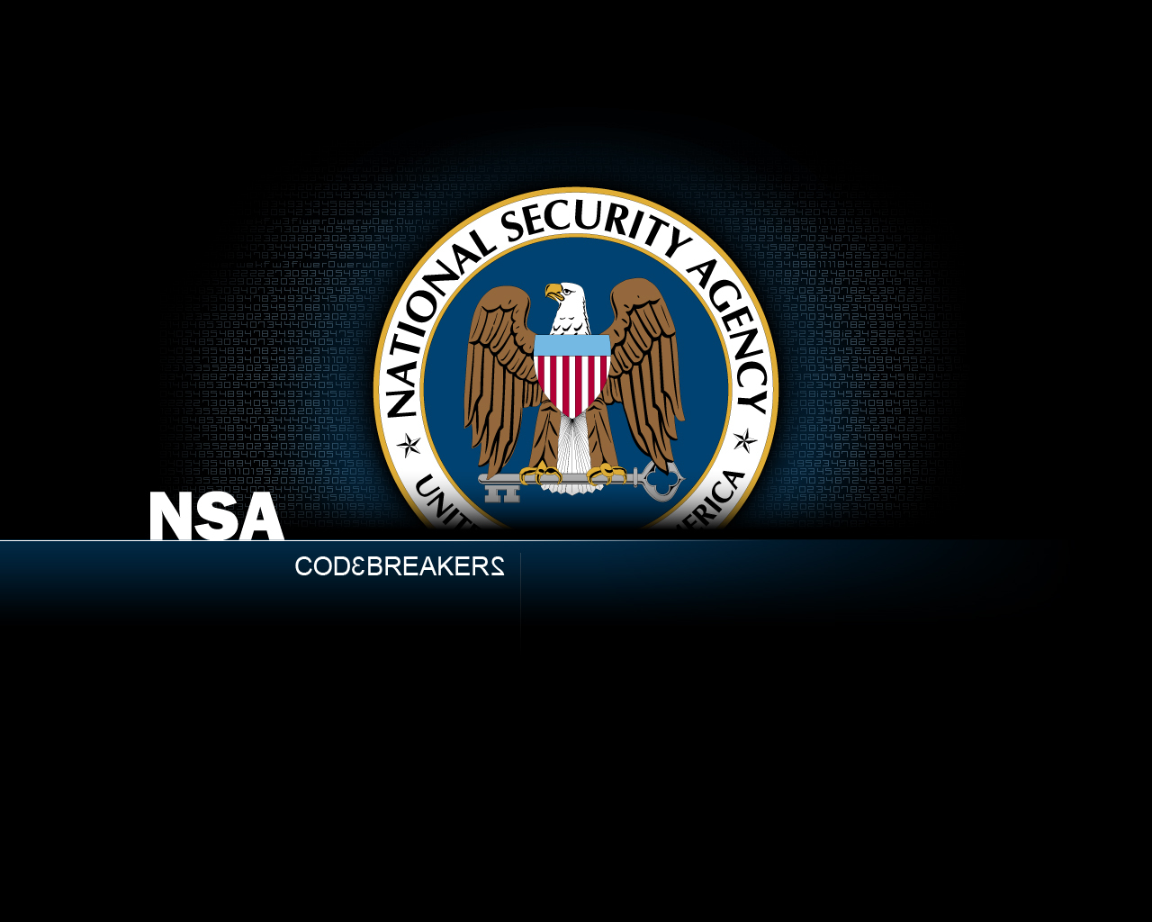 NSA Codebreakers