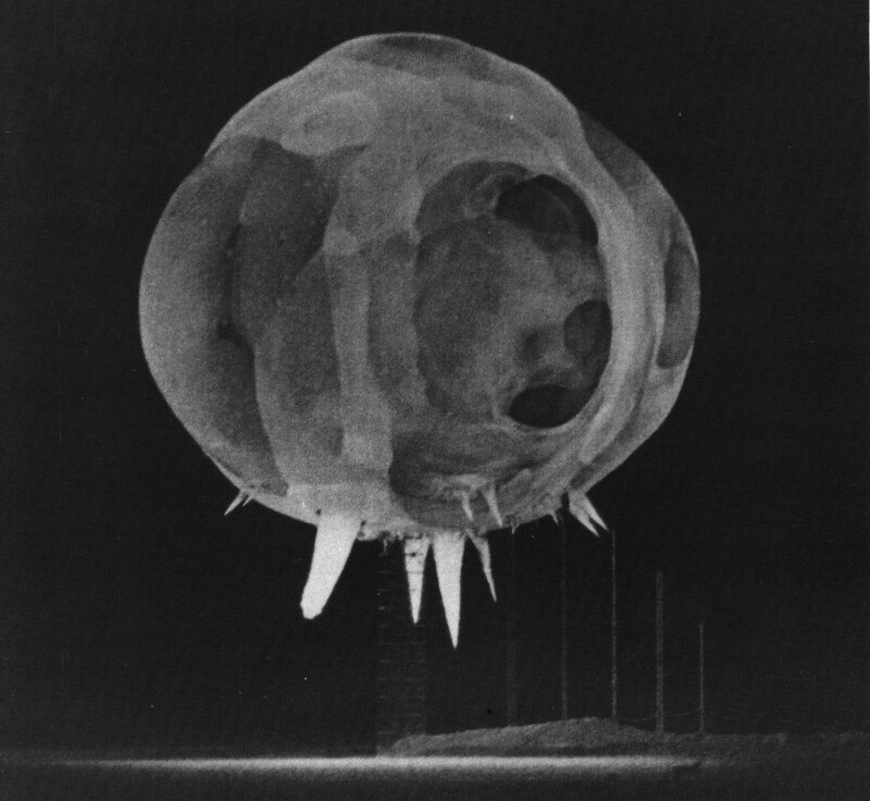 Nuclear Explosion Mushroom Cloud — Black, Dramatic, Photograph, Mushroom Cloud