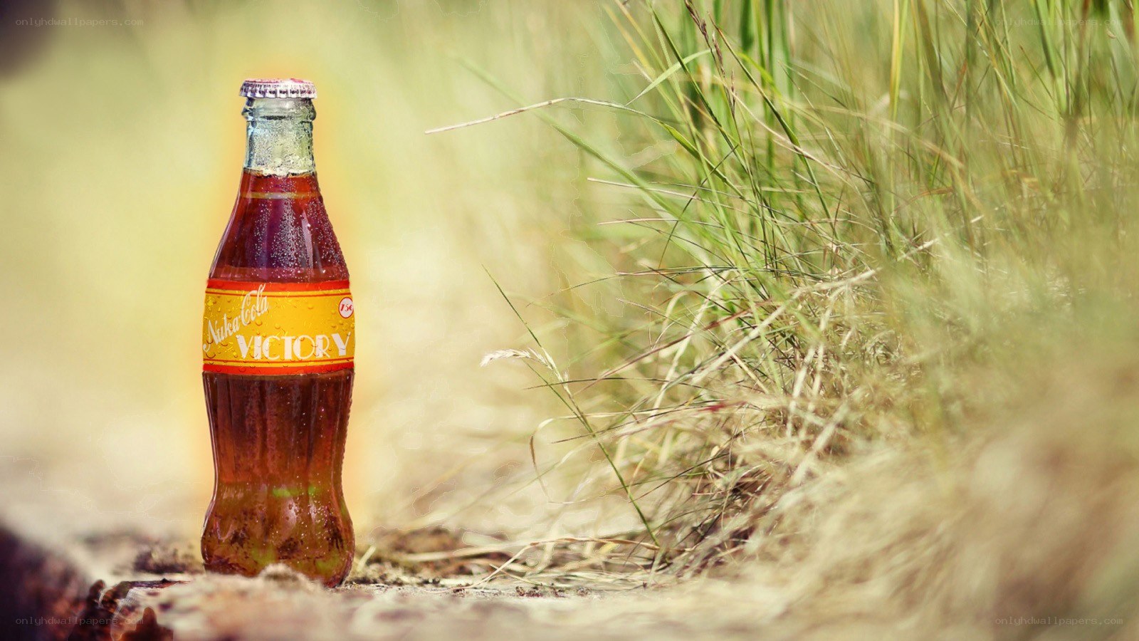 Nuka Cola Victory bottle in grass