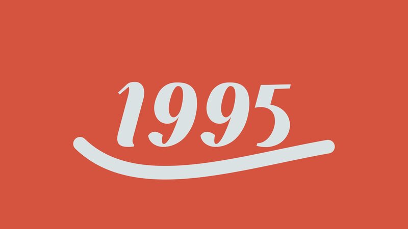 Number 1995 with Line