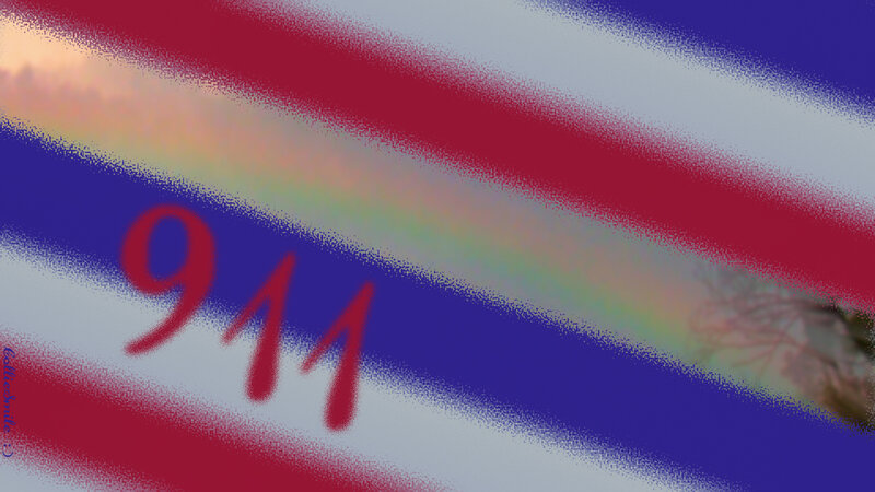 Number 911 on Flag