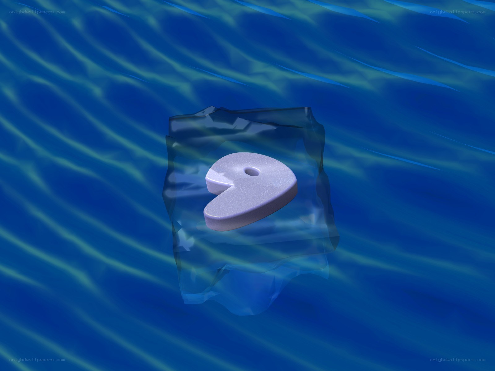 number nine in a plastic bag