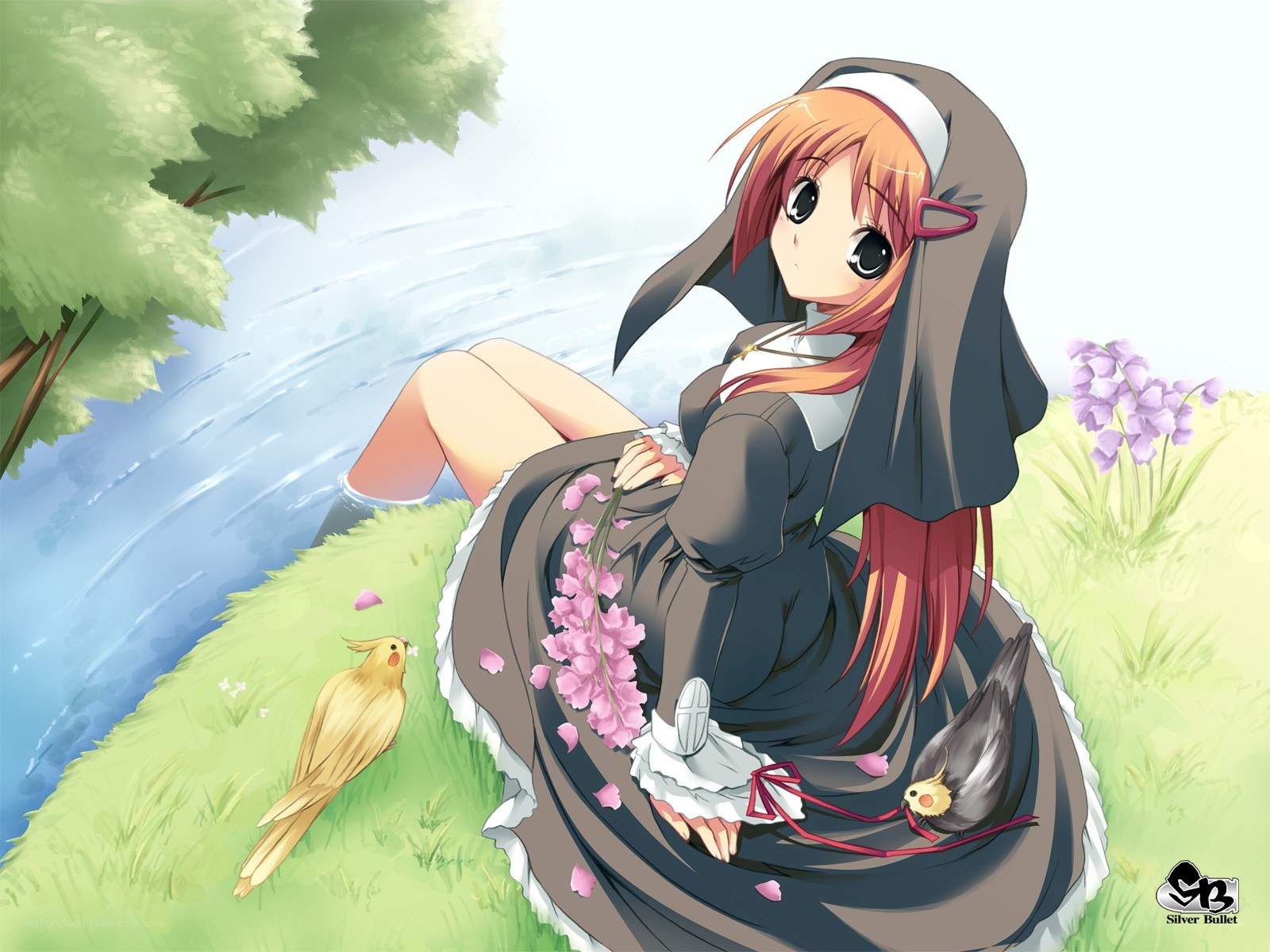 Nun with birds by river