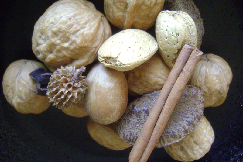 nuts and cinnamon sticks
