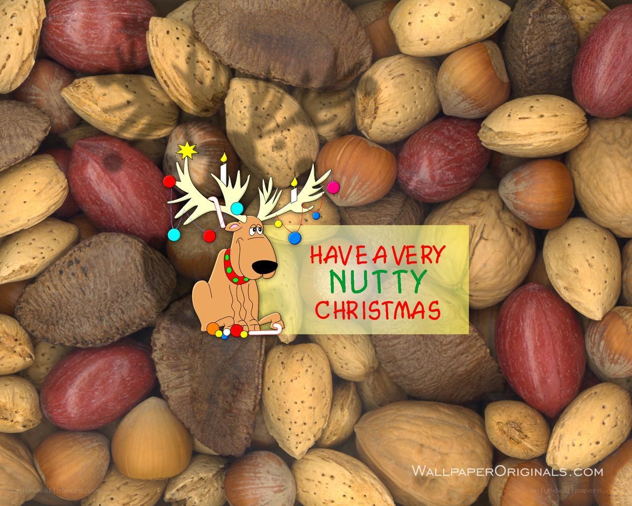 nutty christmas greeting
