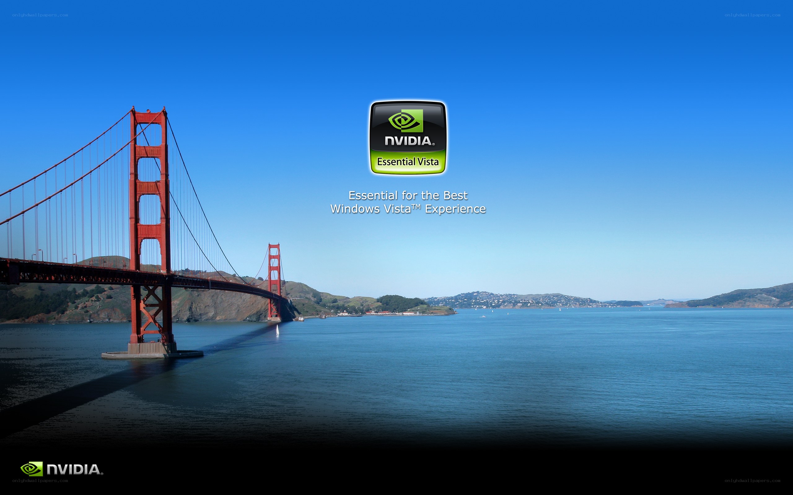 NVIDIA Essential Vista advertisement