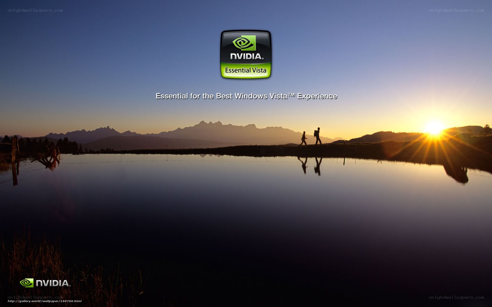 NVIDIA Essential Vista wallpaper