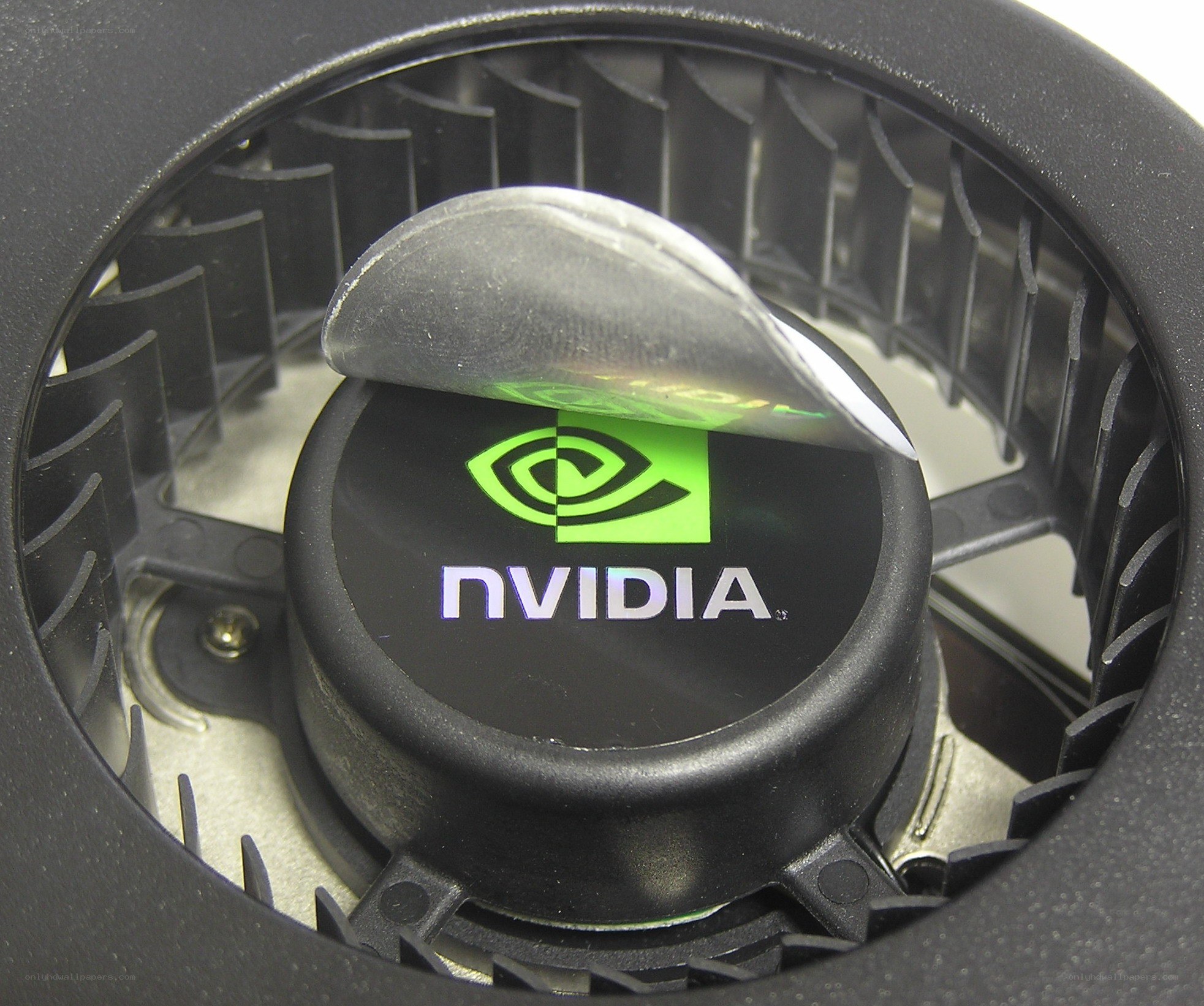 NVIDIA fan with logo