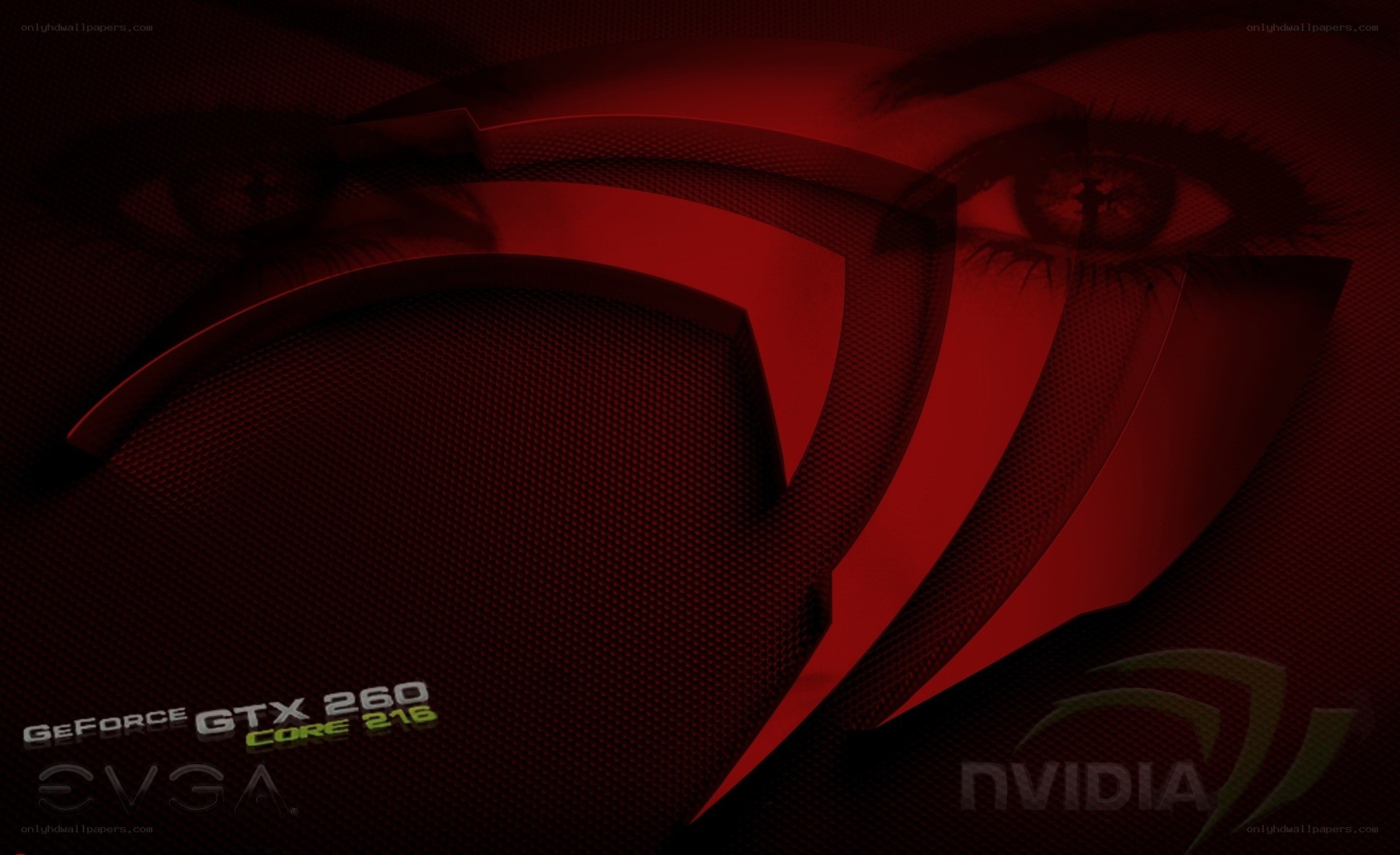 NVIDIA GeForce GTX 260 wallpaper