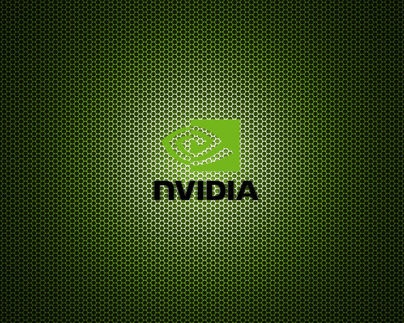 NVIDIA logo on green mesh