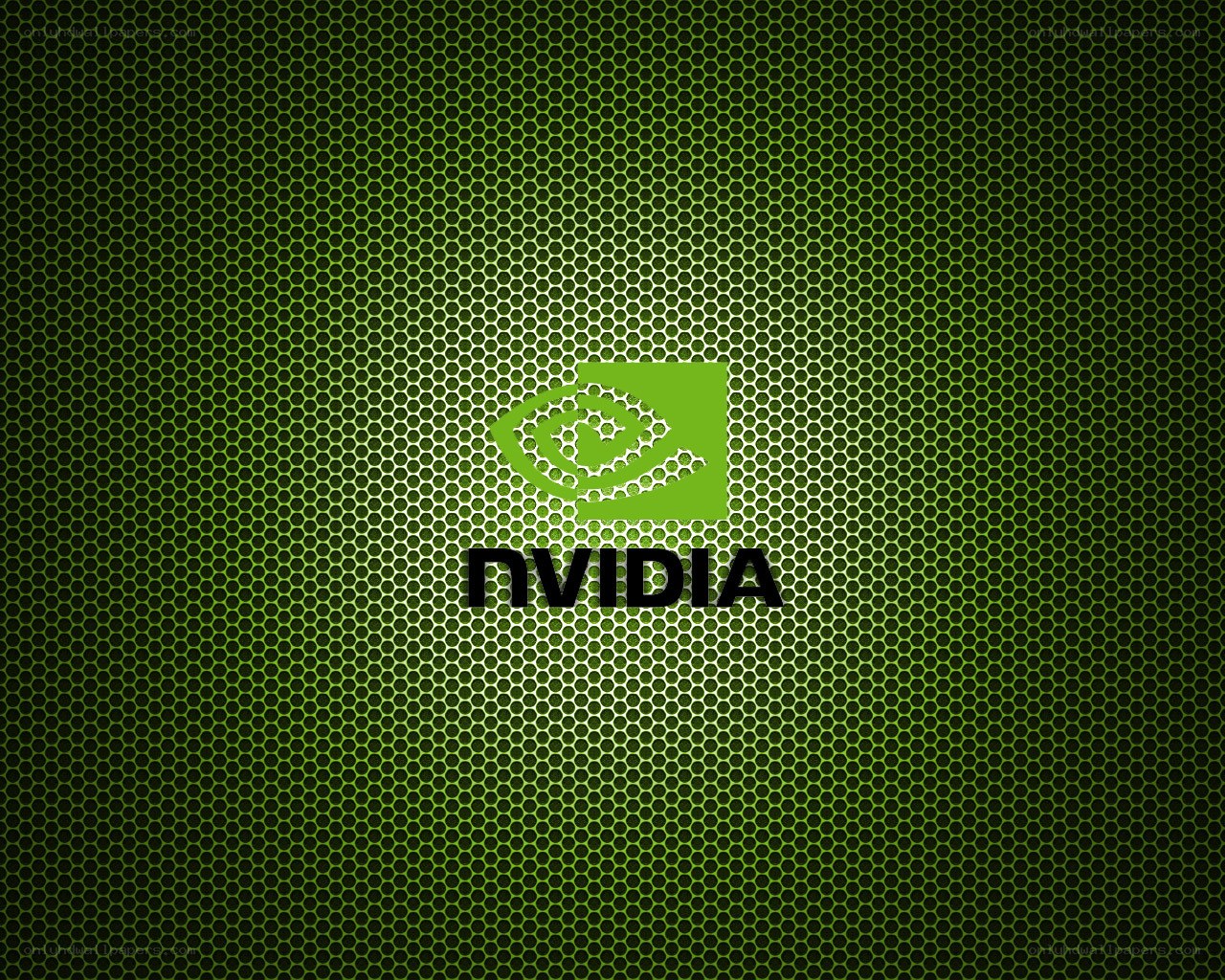 NVIDIA logo on green mesh