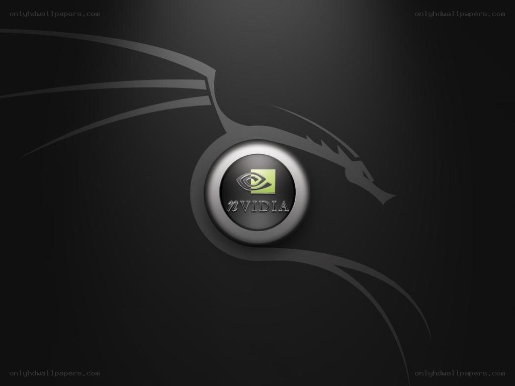 NVIDIA logo with dragon design