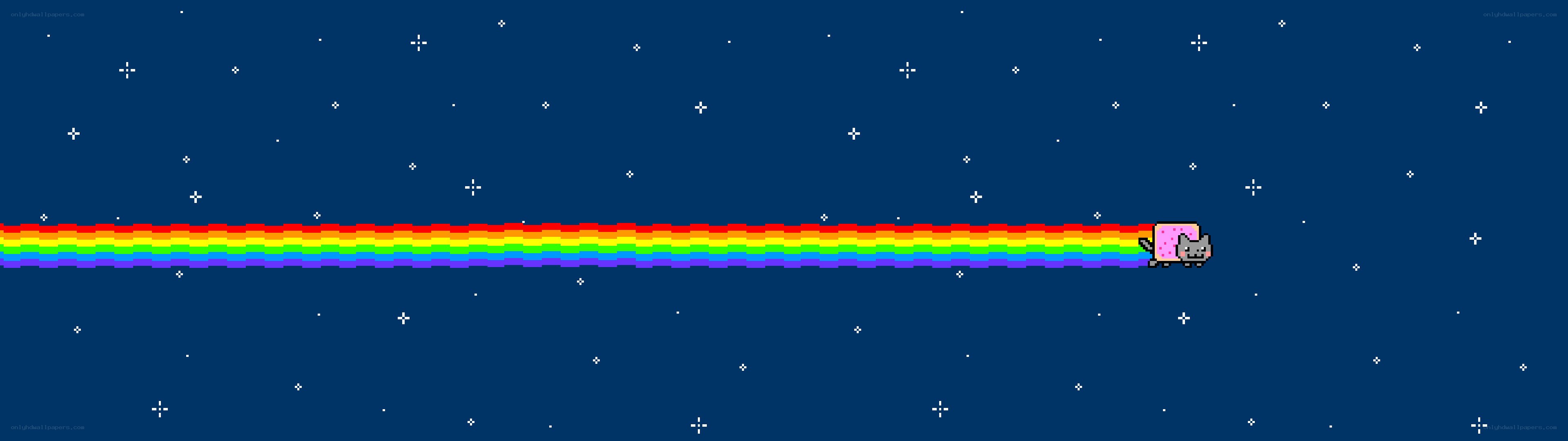 Nyan Cat in space
