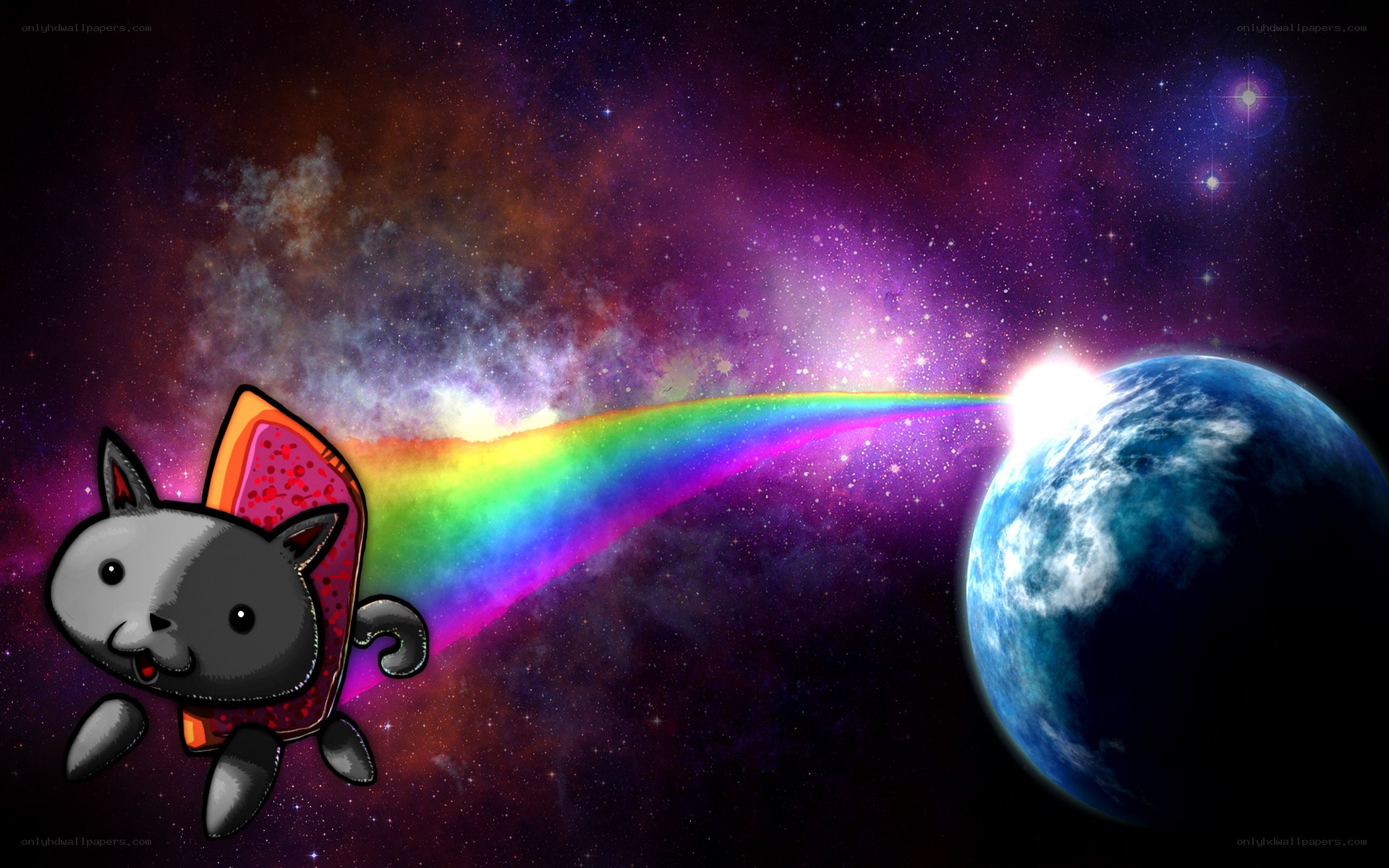 Nyan Cat in space