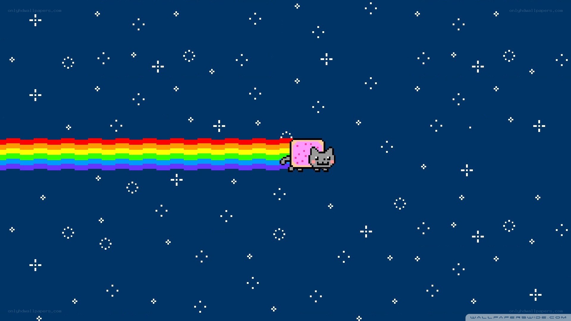 Nyan Cat in space
