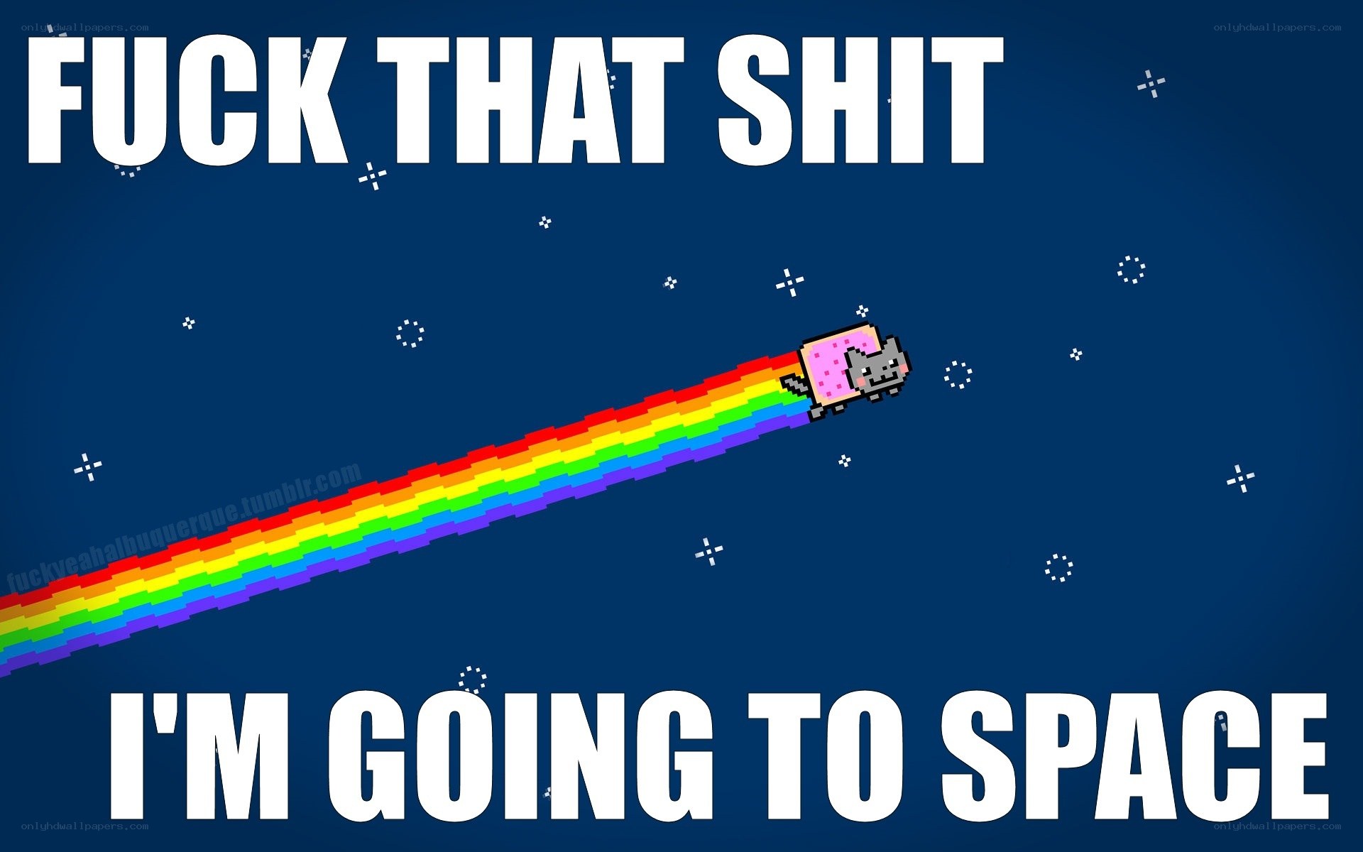 Nyan Cat in space