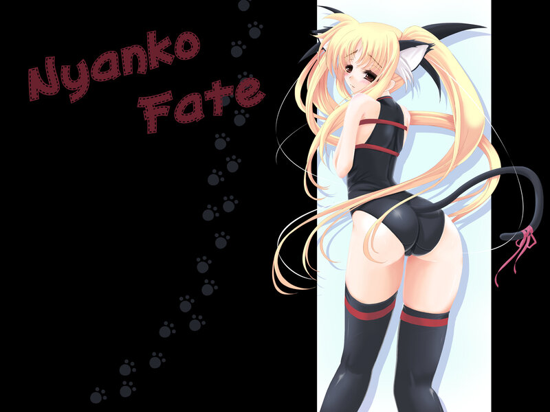 Nyanco Fate character art