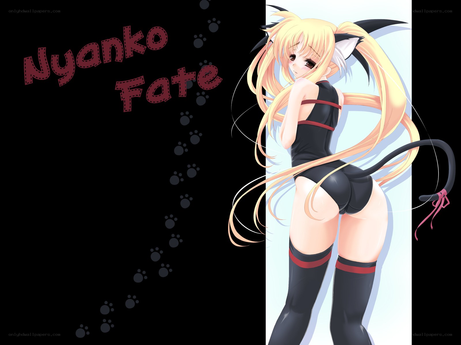 Nyanco Fate character art