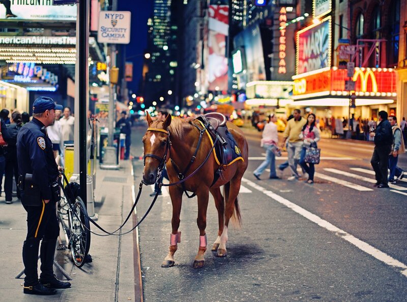 NYPD horse patrol in Times Square
