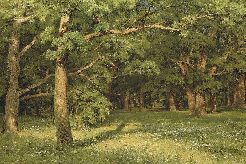 Oak Forest Clearing — Green