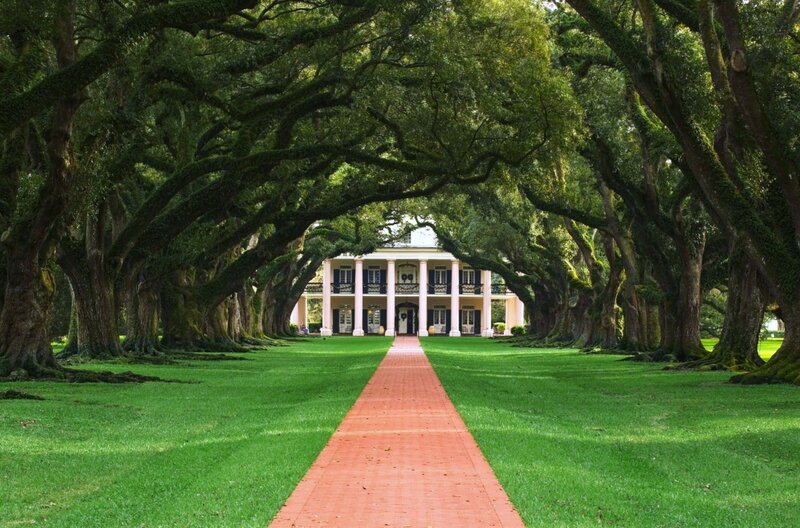 Oak-lined path to a grand house