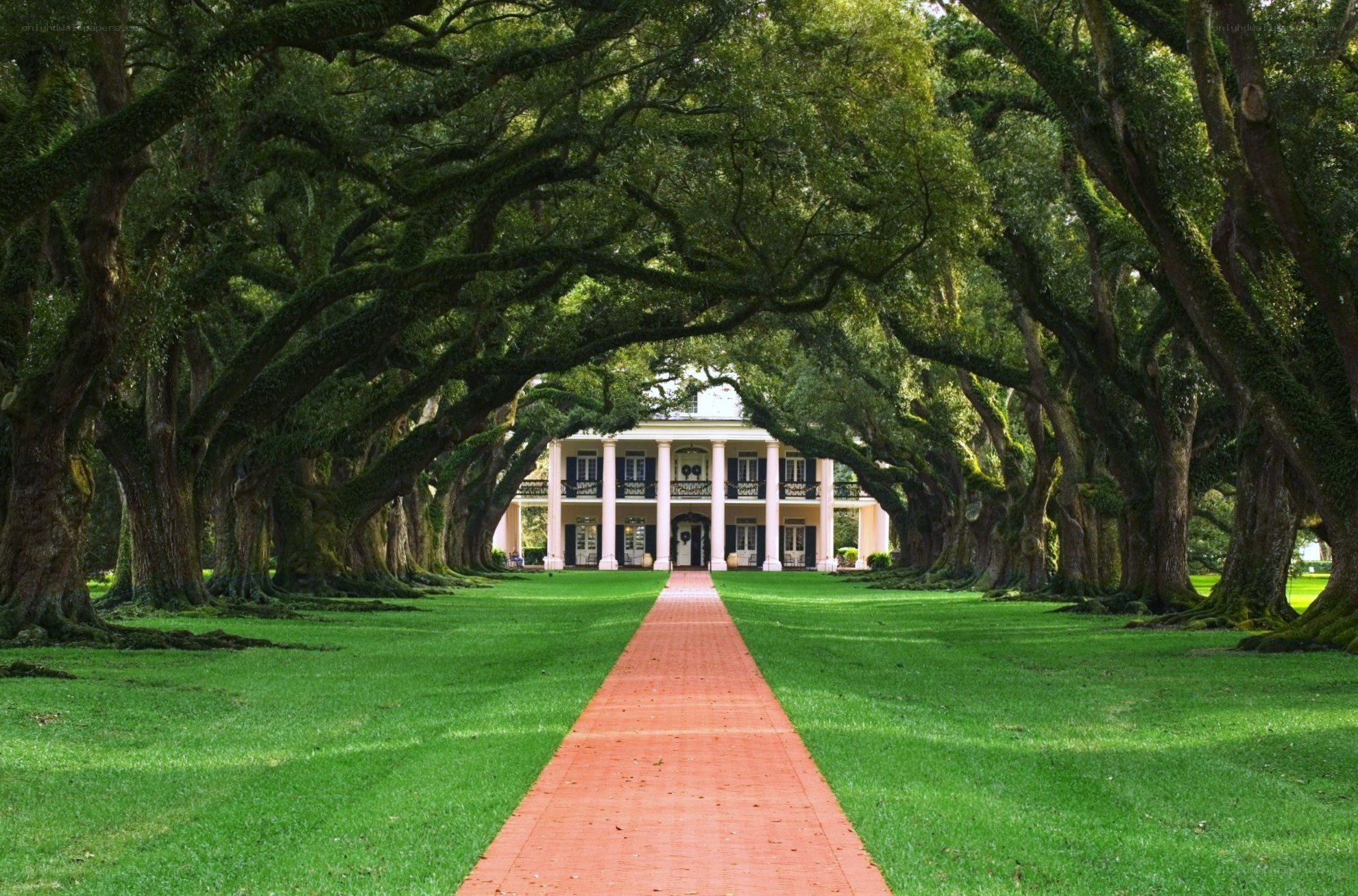 Oak-lined path to a grand house