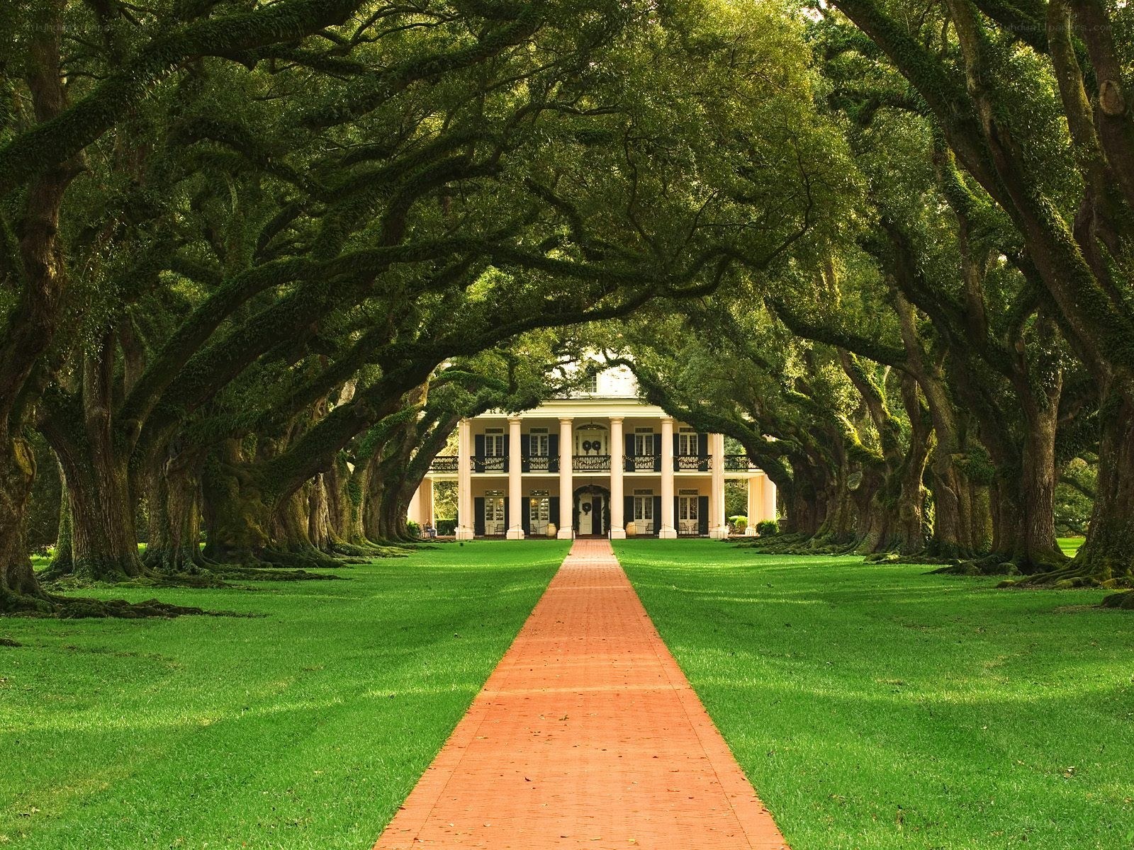 Oak-lined path to a grand house