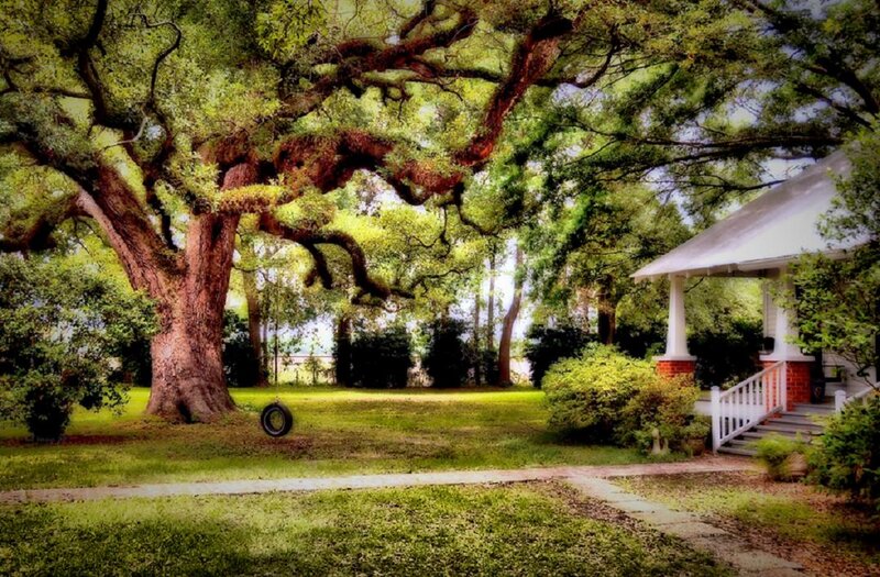 Oak Tree and Porch