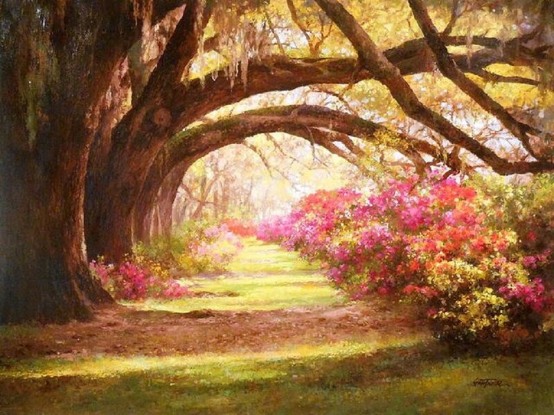 Oak Tree Tunnel — Green