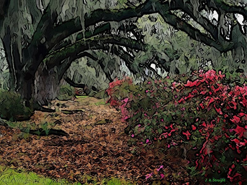 Oak Tree with Azaleas — Green, Serene