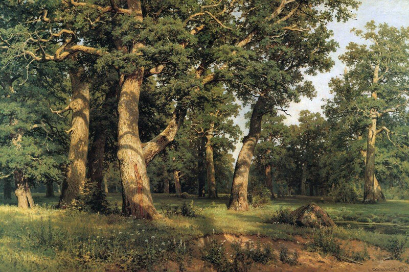 Oak Trees in Forest — Green, Serene, Afternoon, Painting, Grass, Sky, Brown