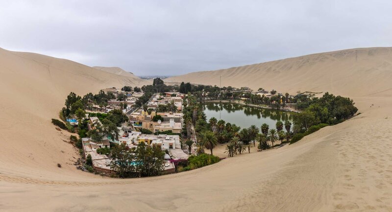 Oasis in Desert — Beige, Serene